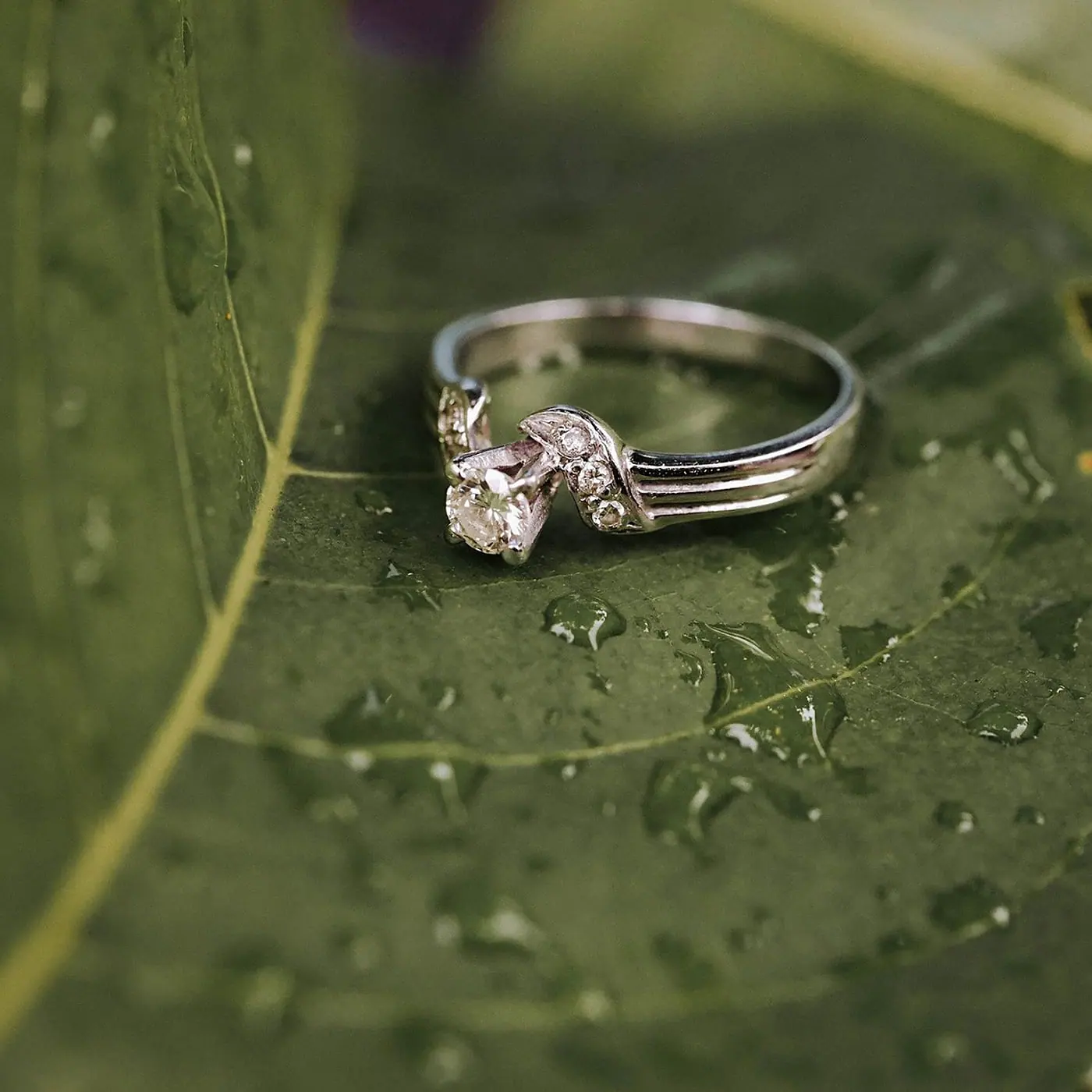 Diamond solitaire ring on a dew-covered leaf