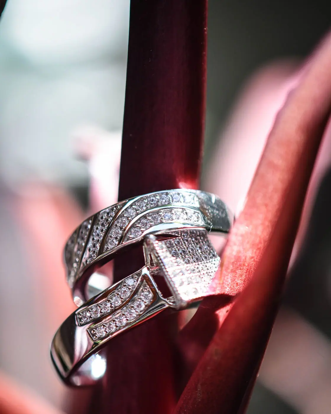 White-gold pavé diamond bypass rings on a plant stem