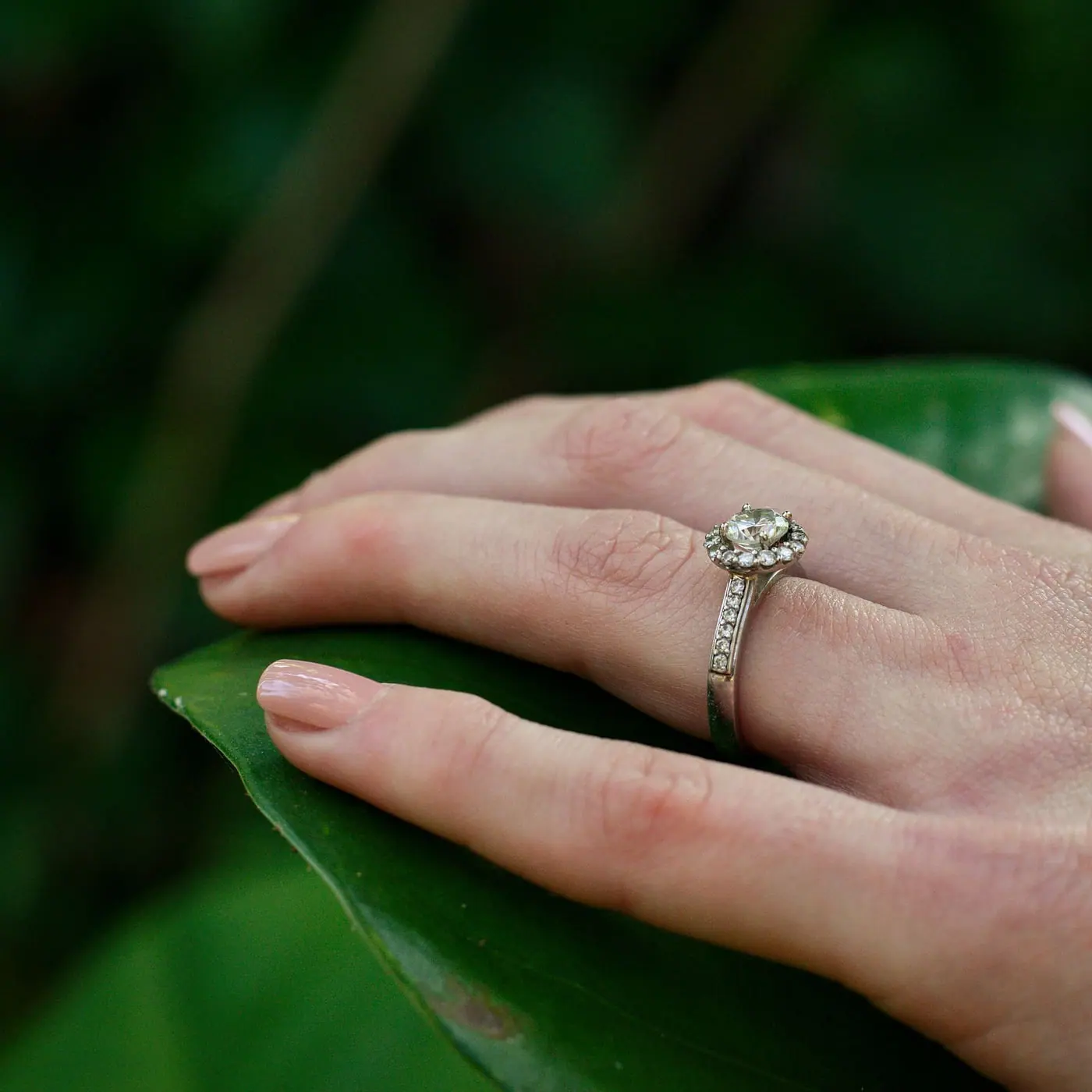 Hand wearing a diamond solitaire engagement ring resting on a green leaf